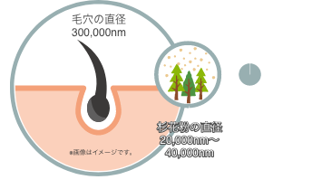毛穴の直径 300,000nm スギ花粉の直径 20,000nm〜40,000nm マイクロバブルの直径 1,000nm ナノバブルの直径 100nm
